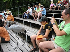 111 Cairns Tropical Zoo